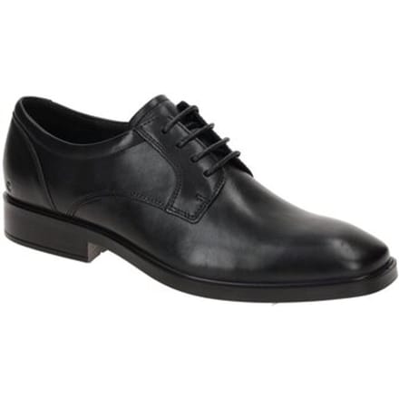 Nette Schoenen Ecco -