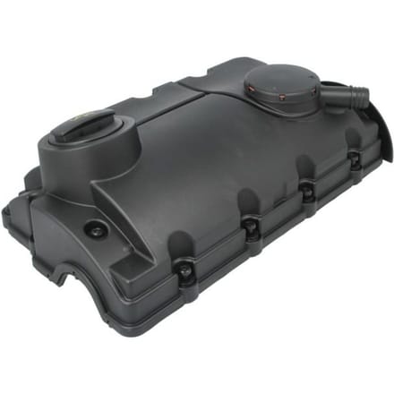 Cilinderkop afdekking VAICO V10-6829