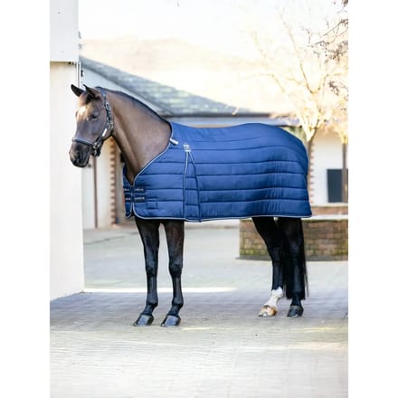 Undercover voor paarden LeMieux Kudos 100g