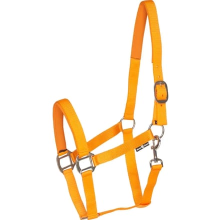 Nylon paardenhalster HorseGuard