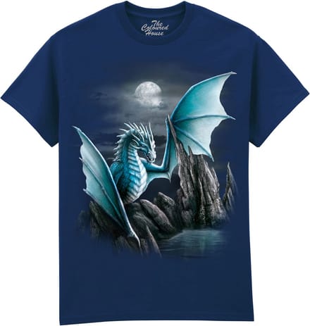 Draak Cameron Dragon The Coloured House T-shirt M