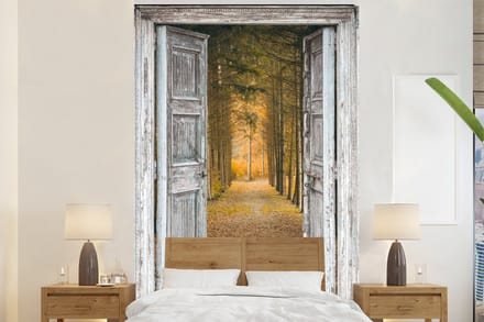 Behang - Fotobehang Bos - Herfst - Doorkijk - Breedte 145 cm x hoogte 220 cm