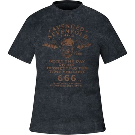 Avenged Sevenfold - Seize The Day Heren T-shirt - S - Zwart