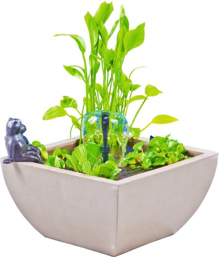 Watertuin set vierkant wit 75x75x30 cm met kikkerHeissner