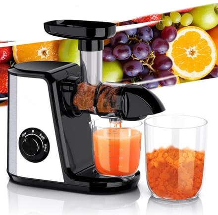 SNJY® Slowjuicer - Juice Maker - Extracteur De Jus - 150W - 700ML - Zwart/Zilver