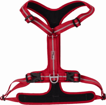Jack And Vanilla - Tuigjes - Expedition Sky Tuigje - Rood - S Expsh4020 - 174946