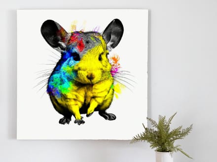 Pikas chaos | Pika's Chaos | Kunst - 60x60 centimeter op Dibond | Foto op Dibond