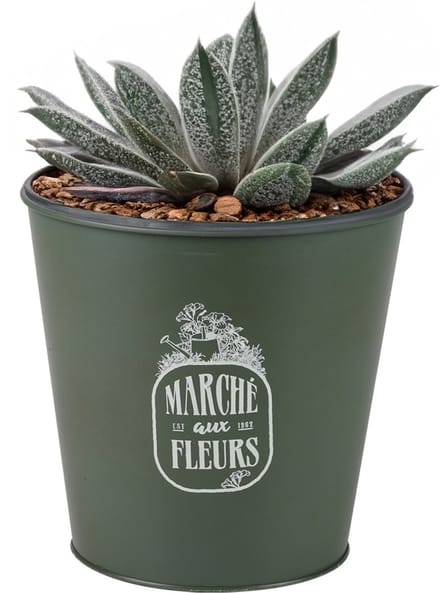 Sunnydays Emmer/plantenpot/bloempot - zink - legergroen - D23 x H22 cm