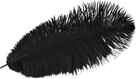 Decoratieve struisvogelveren zwarte veren 38-40cm 2 st