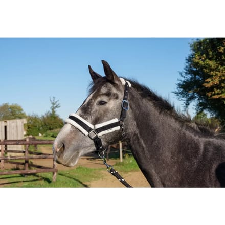 Halster en touwset voor paarden Flags&Cup Jamsa