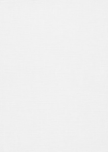 Erismann Vinylbehang 11030-01 - RollOver27 - Overschilderbaar Wit - 106cm x 25,00m