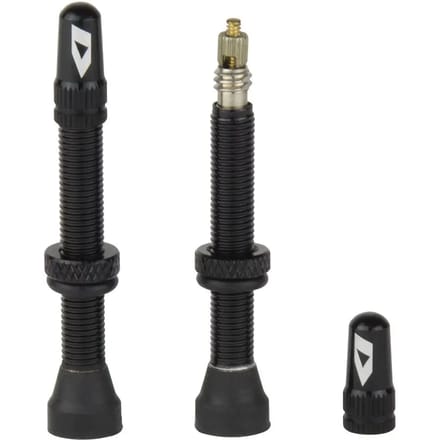 Tubeless ventiel Ikon