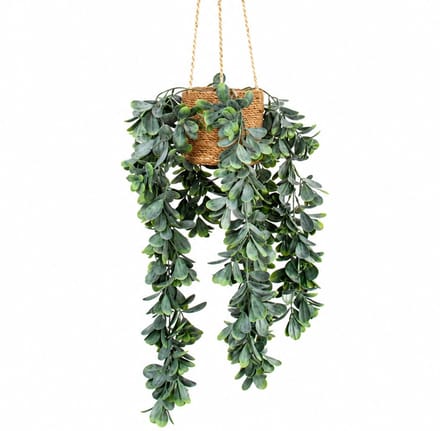 Kunstplant Crassula in hangmand naturel L140cm