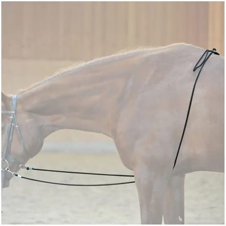 Paard longeert teugel Kavalkade HO
