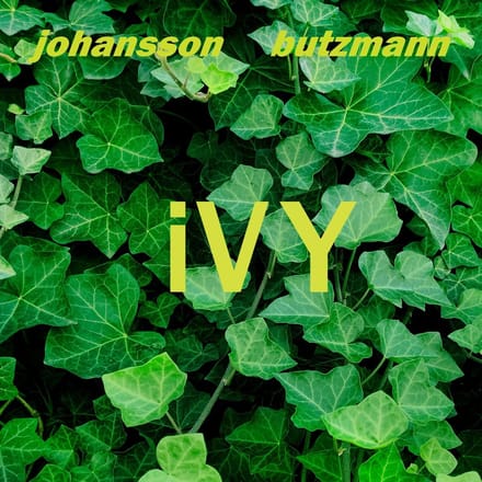 Frieder Butzmann & Jan Ake Johansson - Ivy (LP)