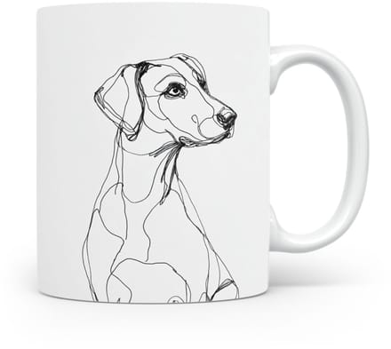Beker Schillerstövare (Schiller Hound)