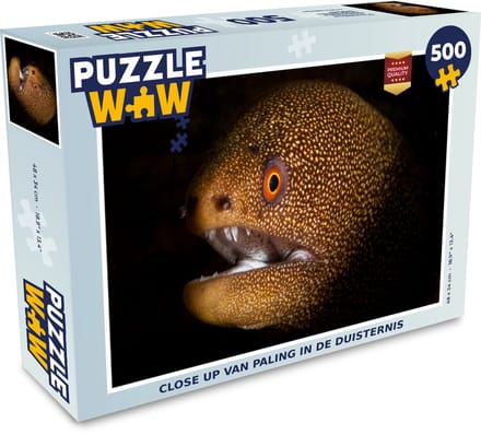 Puzzel Close up van paling in de duisternis - Legpuzzel - Puzzel 500 stukjes