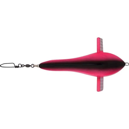 Teaser Williamson Exciter Bird 10 P