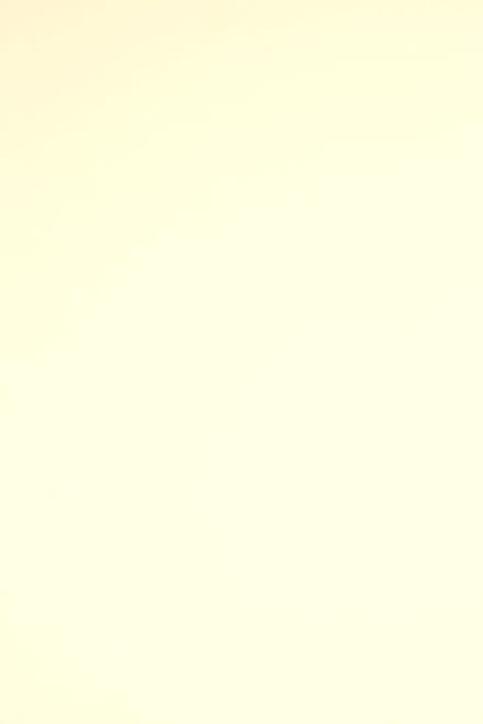 Netuno - crème glad gekleurd papier - A4 - 21 x 29,7 cm - 20 vellen - 230 gram - Rainbow Creme R03