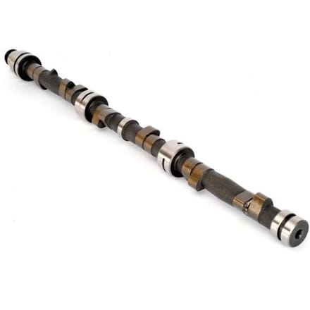 Nokkenas  AE CAM394