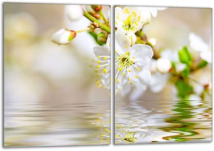 TMK ArtDeko - Snijplank - Glas - 40x52cm - Decoratieve Bescherming
