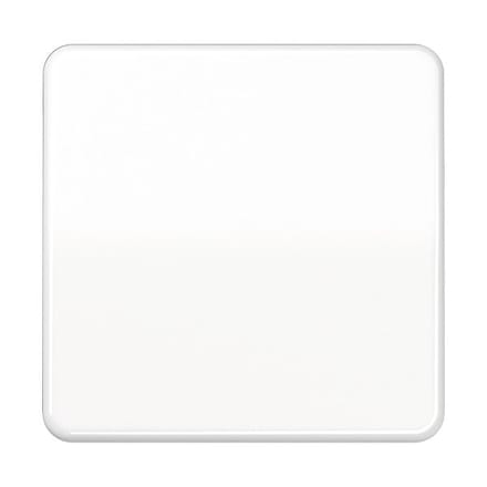 Jung CD500 Schakelelement/Centrale Plaat - CD590BFWW
