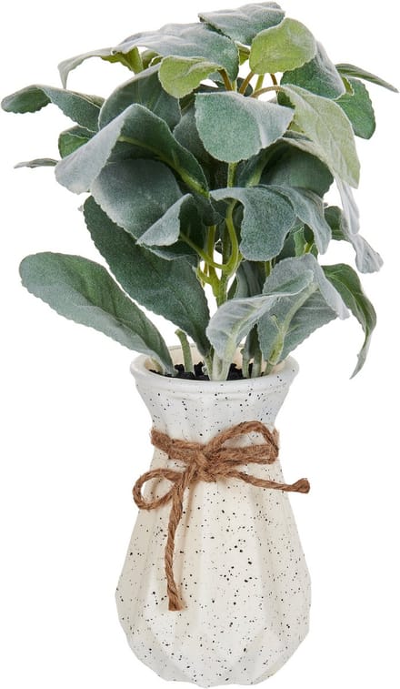 PEPEROMIA ARGYREIA - Kunstplant - Groen - 30 cm - Synthetisch
