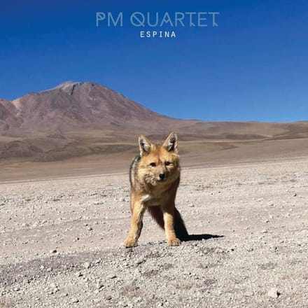 Pierre Martinet Quartet - Espina (CD)