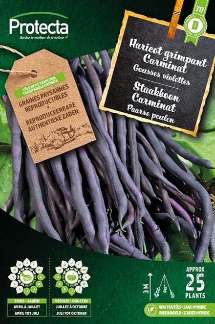 Protecta Groente zaden: Staakboon purple Carminat 25 g