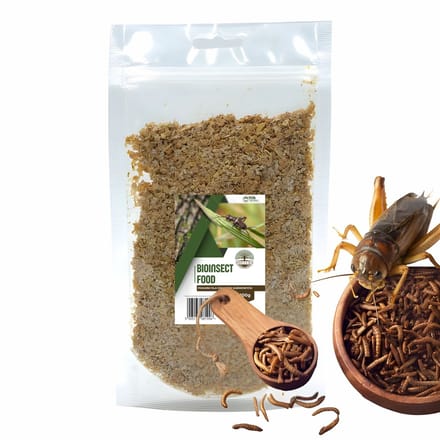 BIOTERR InsectFeed – Voer voor Krekels & Voedselinsecten – 100 g – Complete Voedingsmix in Granulaat