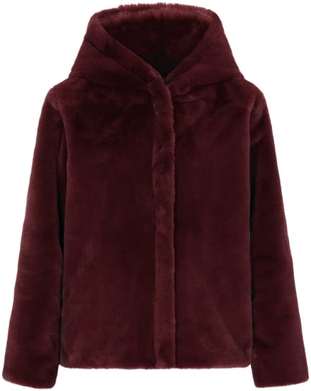 taddy Jacket