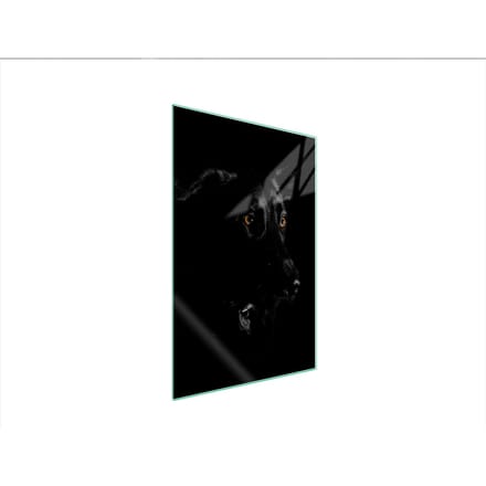 TMK ArtDeko - Snijplank Glas - 35x52 cm - Motief Pies - Hartglas