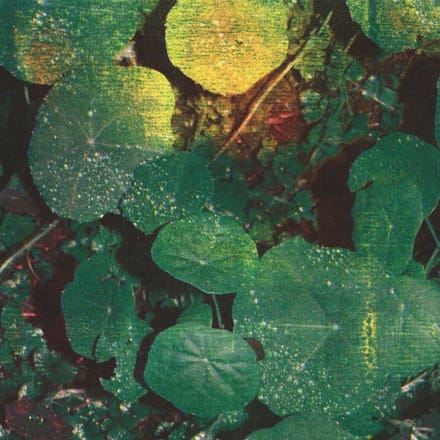 Whoman - About Honey (CD)
