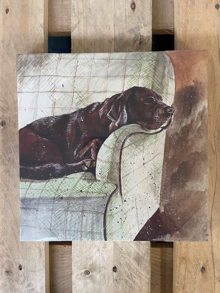 Alex Clark Canvas Buddy Medium - Canvas doek Hond