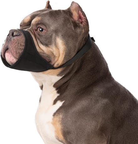 SolidKeus - Muilkorf voor Grote Honden zoals Pitbulls en Rottweilers
