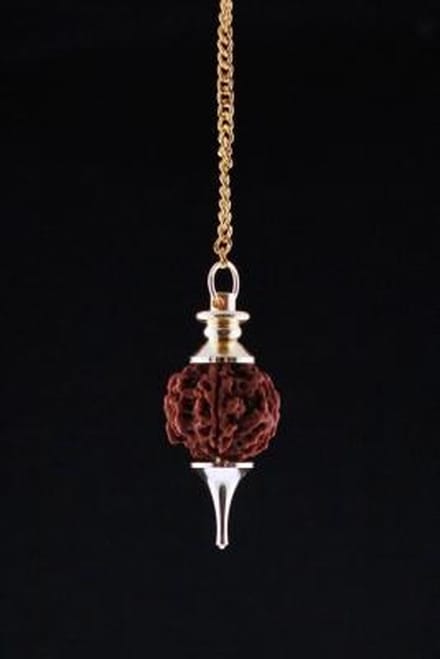 Rudraksha Pendel goudkleurig - 4.5 cm - 10 g