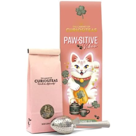 Cabinet of curiositeas - paw-sitive vibes giftbox