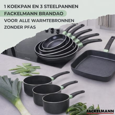 Set van 1 pan van 20 cm en 3 kookpannen van 16, 18 en 20 cm Fackelmann Brandao
