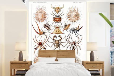 Behang - Fotobehang Retro - Spin - Ernst Haeckel - Spinnen - Breedte 165 cm x hoogte 220 cm