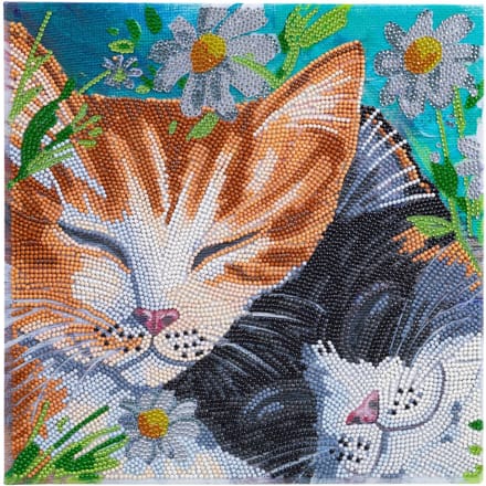 Diamond Painting "Crystal Art Kit", 30 x 30 cm - Sleepy Cats