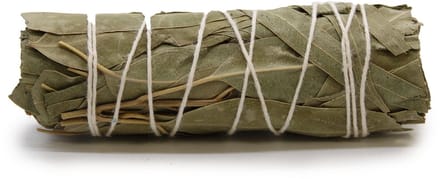 Smudge Stcik - White Sage & Eucalyptus 10 cm
