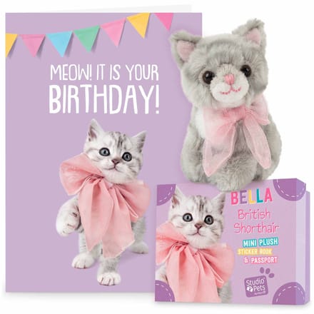 Studio Pets® Set Mini Knuffel Britse Korthaar Kat Bella (8 cm) met Verjaardagskaart