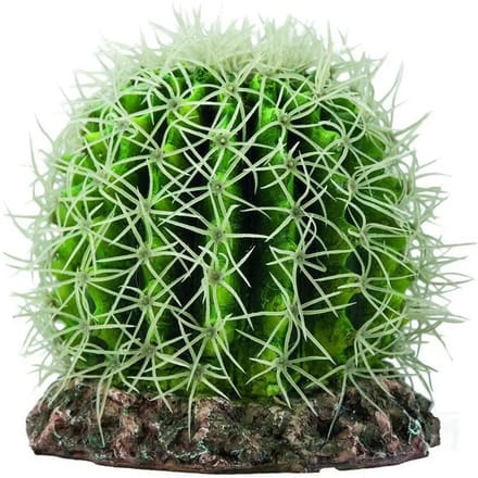 Hobby Terrano Cactus - Sonora - OPRUIMING