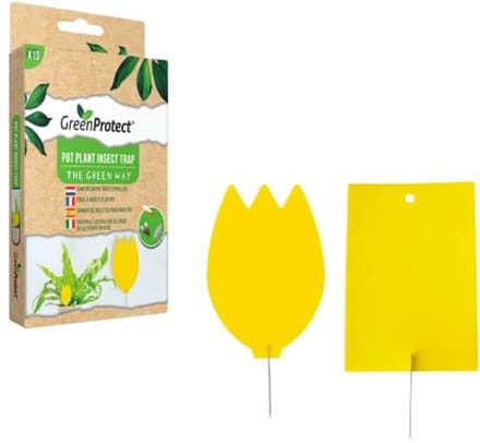 Edialux GreenProtect Kamerplanten Insectenval - Effectieve Insectenval