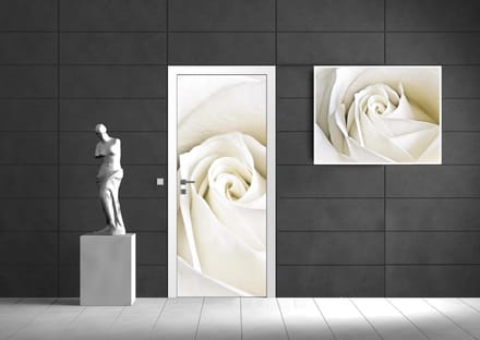 Flowers Rose White Nature Photo Wallcovering