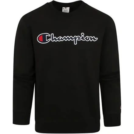 Hooded sweatshirt Champion Rochester Logo