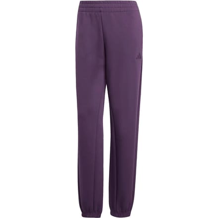 Adidas Future Icons Small Logo Broek Paars M Vrouw