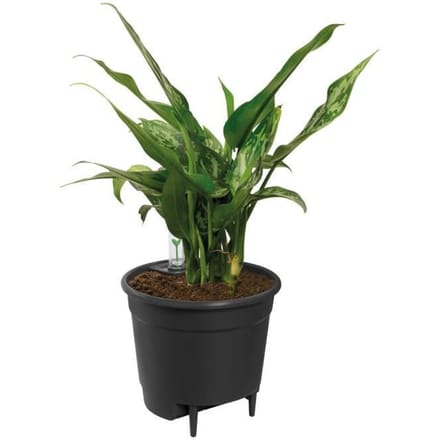 ELHO Pot a fleurs Self-watering Insert - Ø 33 x H 31 cm - Intérieur, accessoires - 100% recyclé - Noir