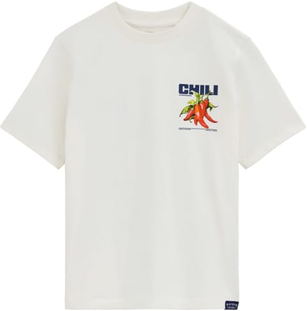 WE Fashion Jongens T-shirt met print