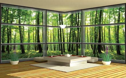Fotobehang Vlies Bos, Natuur | Groen | GROOT 832x254cm